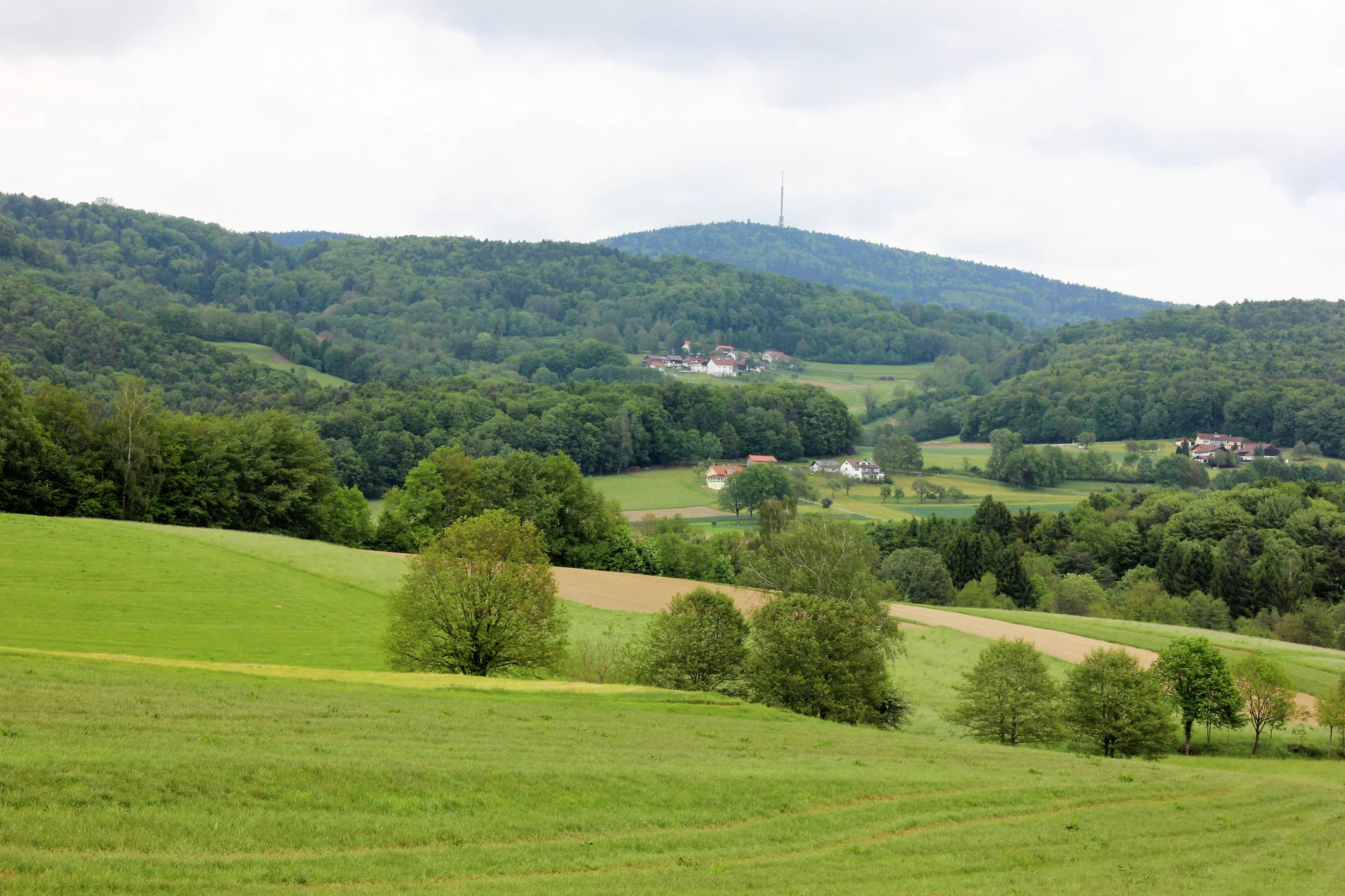 Wiesen und bewaldete Hügel beim Brotjacklriegel in der Region Sonnenwald